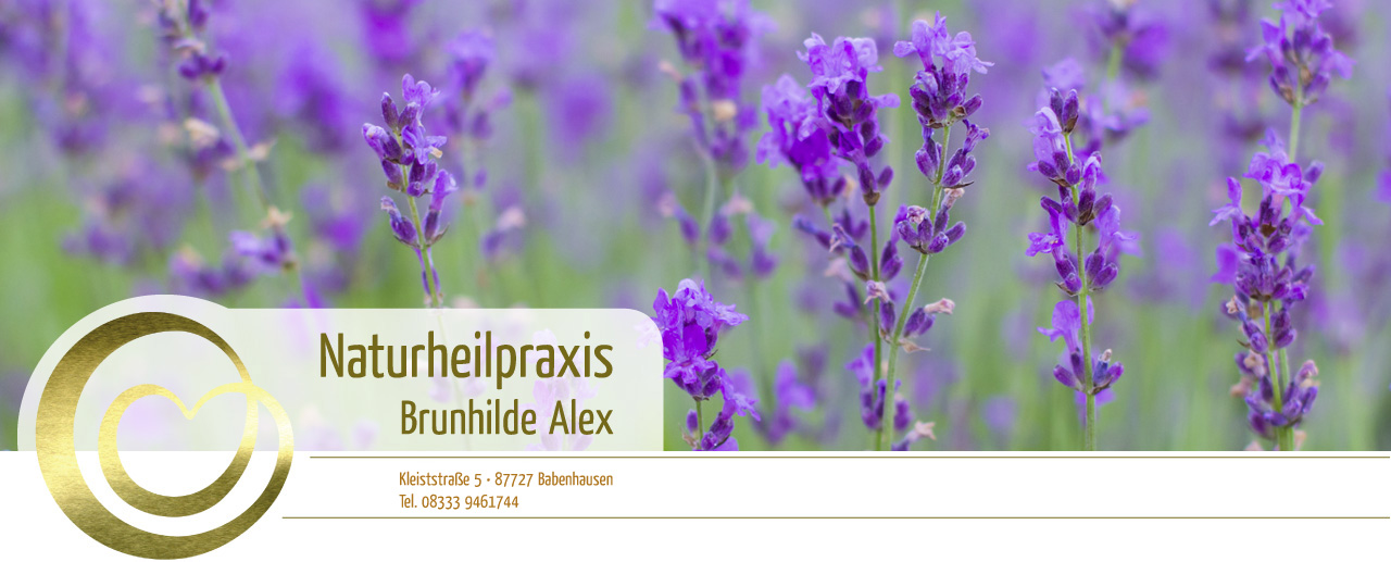 Termine Heilpraktikerin Alex