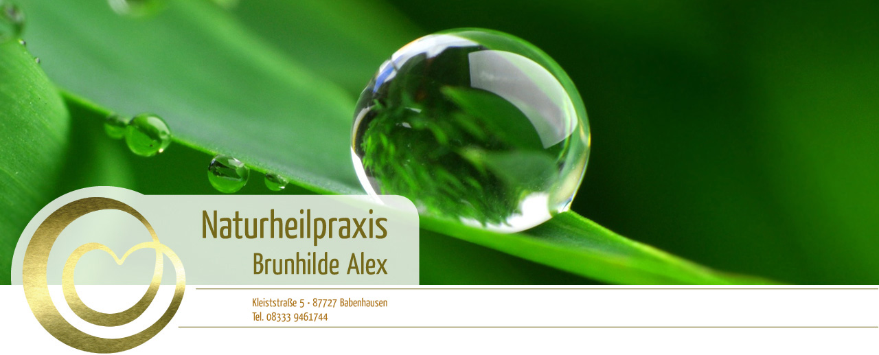 Naturheilpraxis Alex Babenhausen